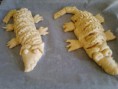 /album/kepgaleria-crocodiles-korkodilok/a210420132720-jpg/
