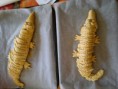 /album/kepgaleria-crocodiles-korkodilok/a210420132722-jpg/